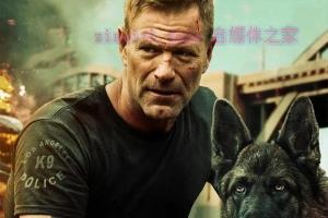 惊悚电影《Muzzle》解说文案/剧情详述/解说教程-自媒体之家